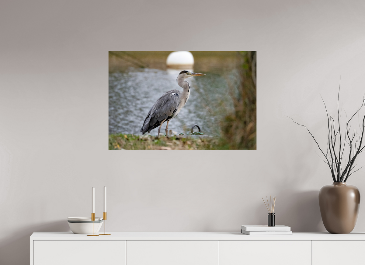 90 x 60 cm, Photo Print On Fuji Crystal DP II Héron