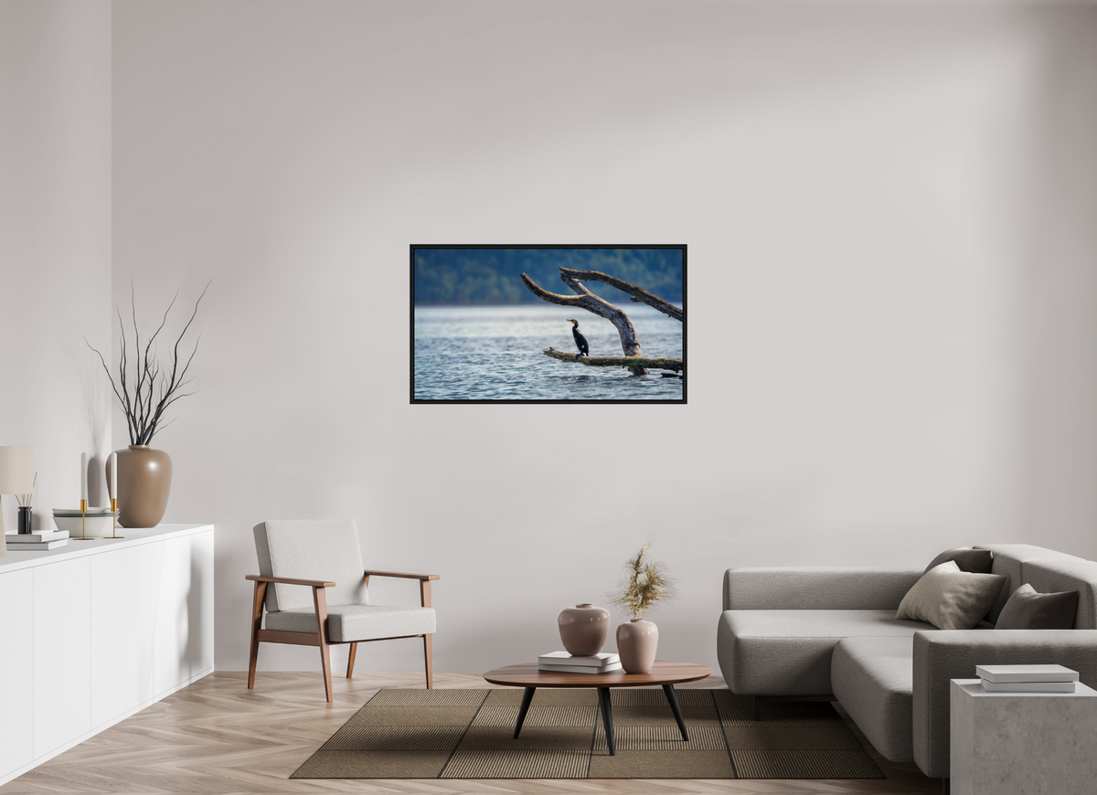 128 x 72 cm, 3 - Caisse américaine Grand cormoran