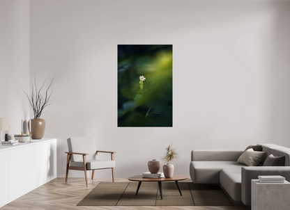 100 x 150 cm, 1 - Papier photo Fuji brillant Petite et violette