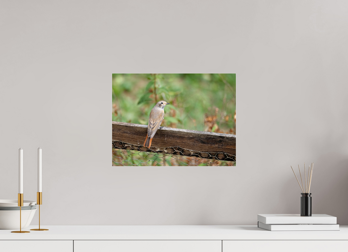 40 x 30 cm, Plexiglasse Petite voisine