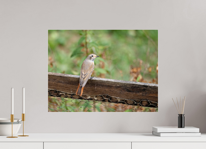 60 x 45 cm, Plexiglasse Petite voisine