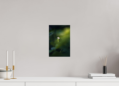 20 x 30 cm, 2 - Plexiglasse Petite et violette