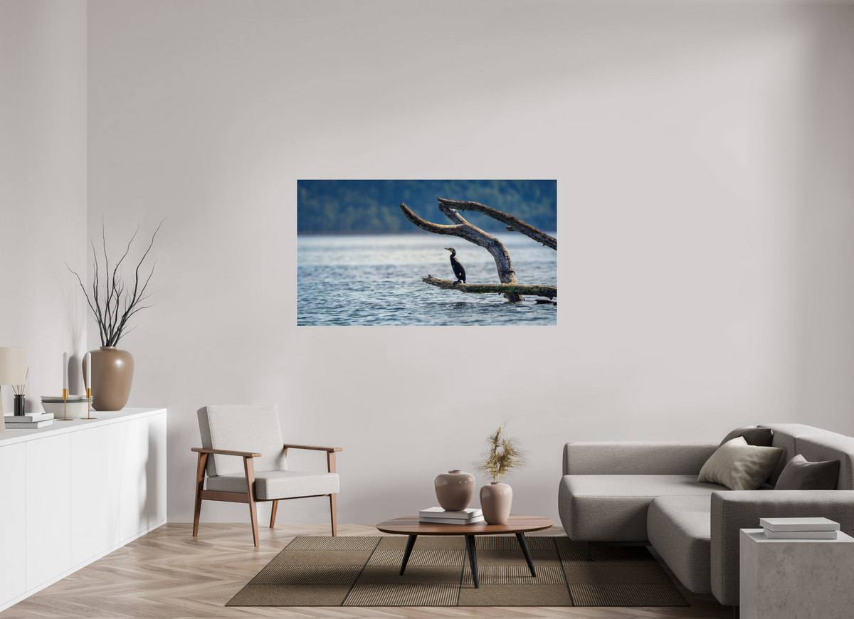 160 x 90 cm, 2 - Plexiglasse Grand cormoran