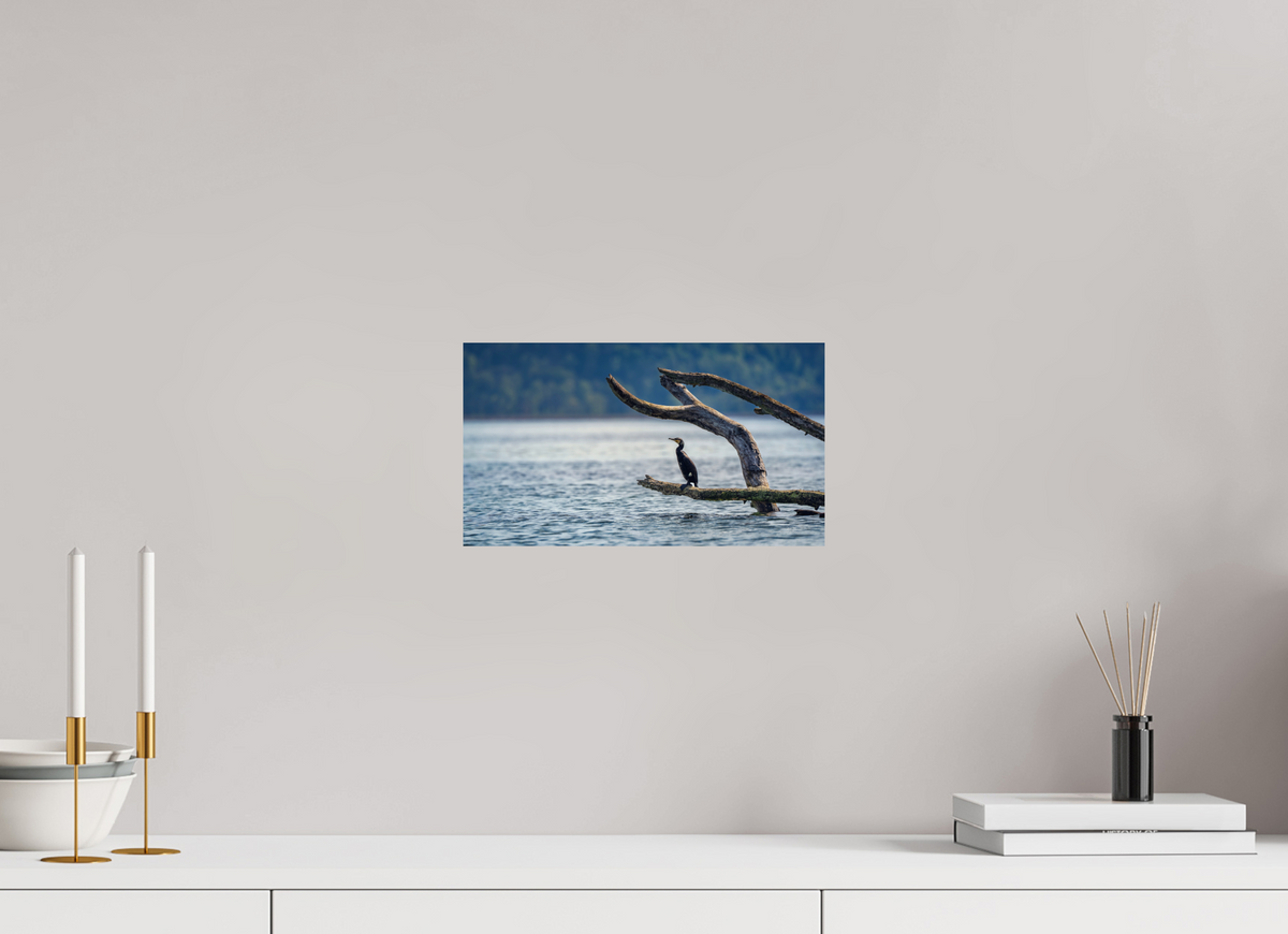 32 x 18 cm, 1 - Papier photo Fuji brillant Grand cormoran