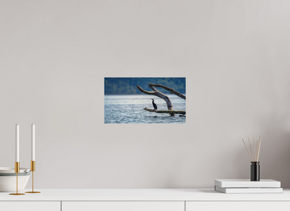 32 x 18 cm, 1 - Papier photo Fuji brillant Grand cormoran