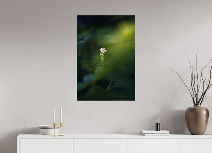 60 x 90 cm, 1 - Papier photo Fuji brillant Petite et violette