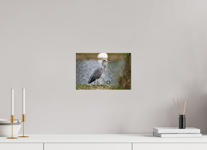 30 x 20 cm, Photo Print Under Acrylic Glass Héron