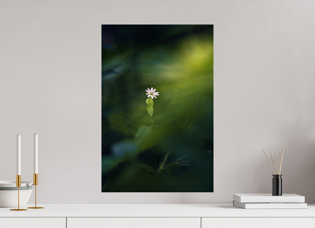 40 x 60 cm, 2 - Plexiglasse Petite et violette