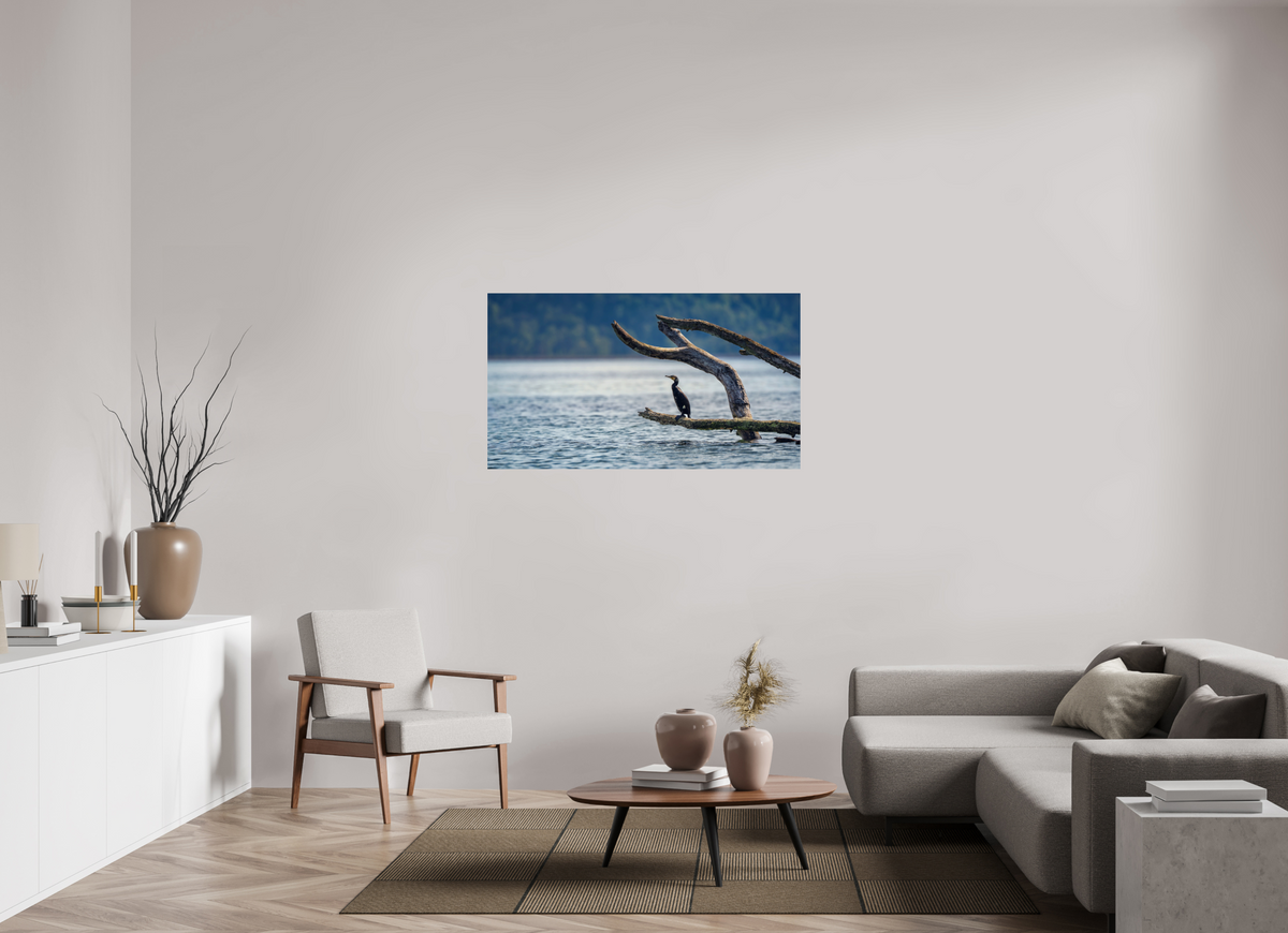 128 x 72 cm, 1 - Papier photo Fuji brillant Grand cormoran