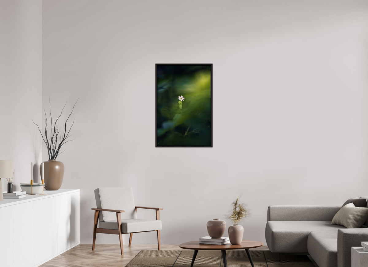 60 x 90 cm, 3 - Caisse américaine Petite et violette