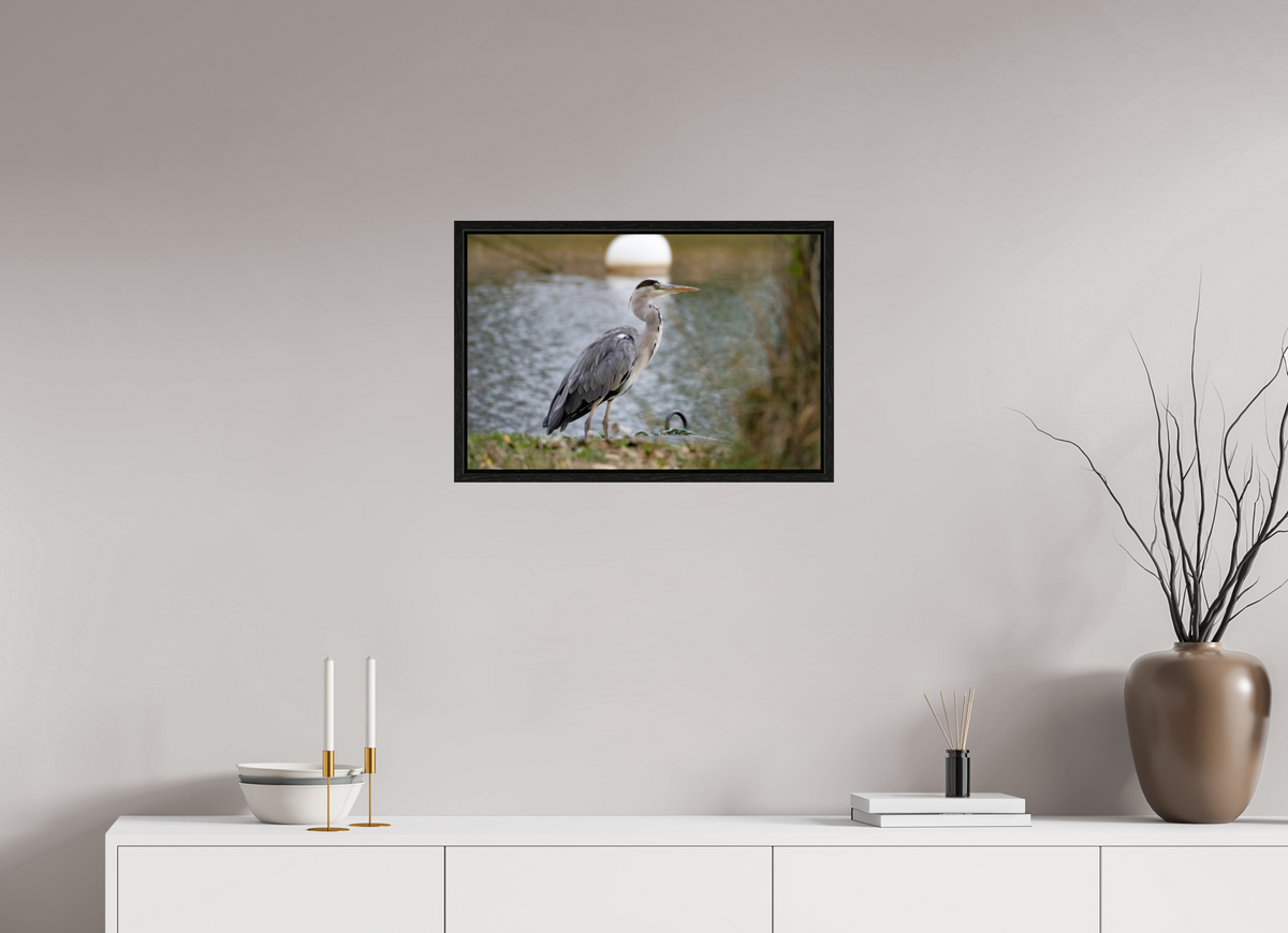 60 x 40 cm, Floater Frame Héron