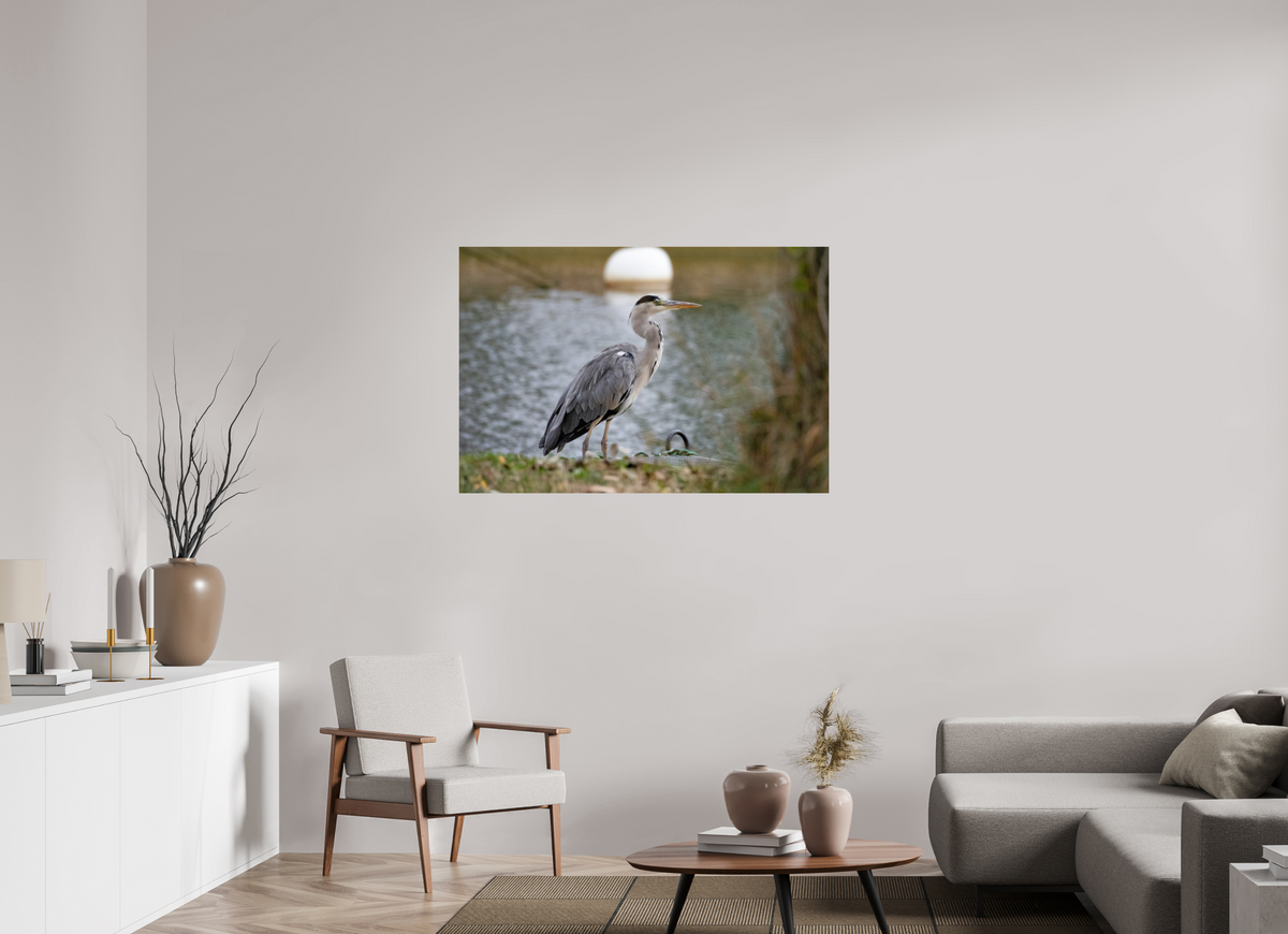 120 x 80 cm, Photo Print On Fuji Crystal DP II Héron