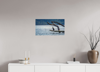64 x 36 cm, 2 - Plexiglasse Grand cormoran