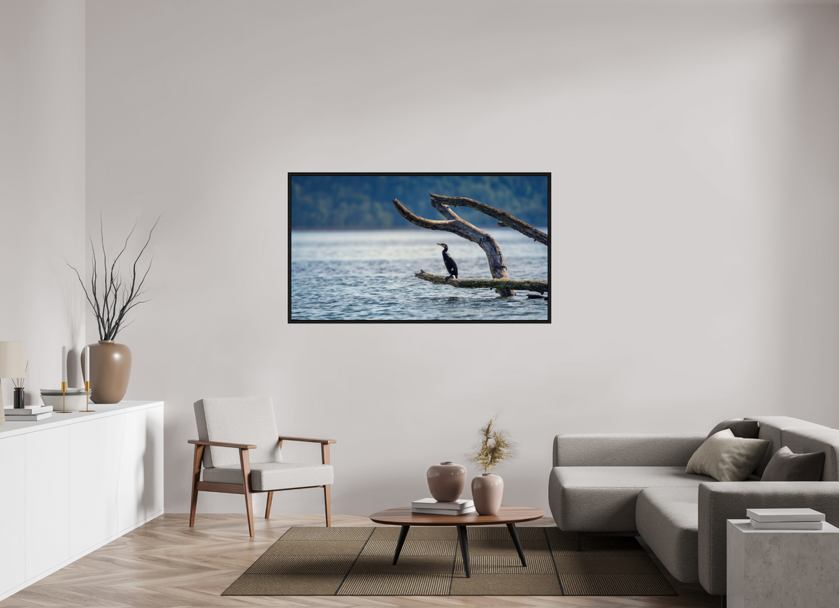 160 x 90 cm, 3 - Caisse américaine Grand cormoran
