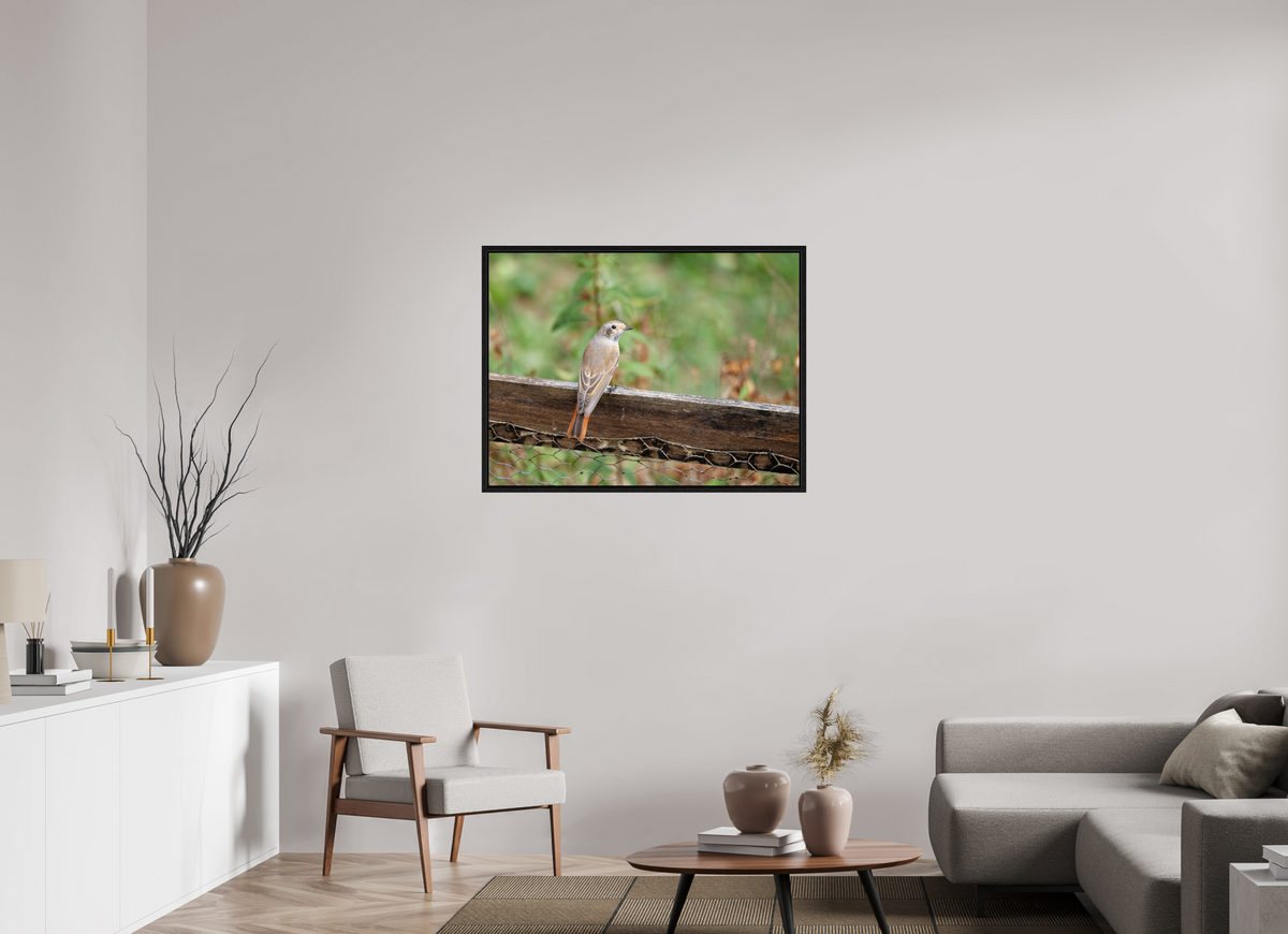 100 x 75 cm, Caisse américaine Petite voisine
