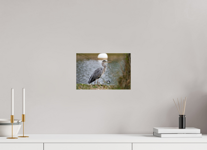 30 x 20 cm, Photo Print On Fuji Crystal DP II Héron