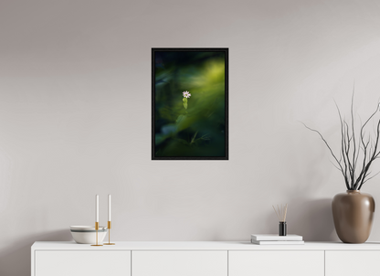 40 x 60 cm, 3 - Caisse américaine Petite et violette
