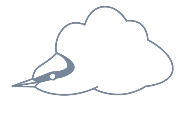 La sittelle nuage